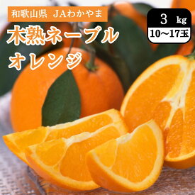 和歌山県 木熟ネーブルオレンジ 3kg（10～17玉）JAわかやま 2月下旬発送開始