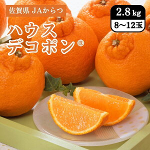 ꌧ nEXfR| 2.8kgi8`12ʁj JA 12{Jn