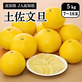 高知県 土佐文旦 5kg（7～16玉） JA高知県 2月中旬発送開始