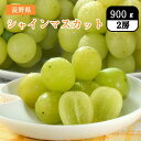 長野県 長野のシャインマスカット 900g（2房） JA全農長野 9月下旬発送開始