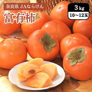 ޗǌ xL` 3kgi10`12ʁj JAȂ炯 11{Jn