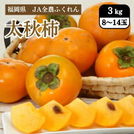 福岡県 太秋柿 3kg（8～14玉） JA全農ふくれん 10月中旬発送開始