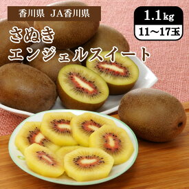 香川県 さぬきエンジェルスイート 1.1kg（11～17玉） JA香川県 11月中旬発送開始