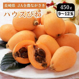 長崎県 ハウスびわ 450g（9～12玉） 4月上旬発送開始 JA全農ながさき