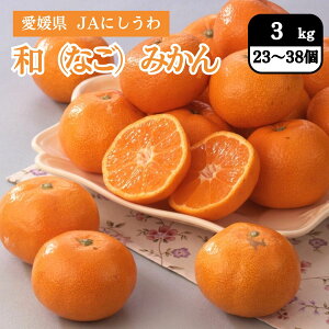 Q aiȂj݂ 3kgi23`38ʁj JAɂ 11{Jn