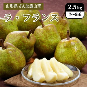 山形県 ラ・フランス 2.5kg(7〜9玉) JA全農山形 11月下旬発送開始