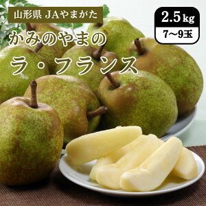山形県 かみのやまのラ・フランス 2.5kg(7〜9玉) JAやまがた 11月中旬発送開始