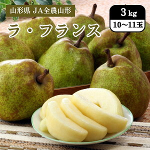 山形県 ラ・フランス 3kg(10〜11玉) JA全農山形 11月中旬発送開始