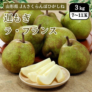 山形県 遅もぎラ・フランス 3kg(7〜11玉) JAさくらんぼひがしね 11月中旬発送開始