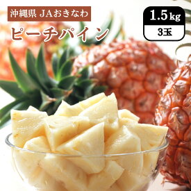 沖縄県 ピーチパイン 1.5kg（3玉） JAおきなわ 4月中旬発送開始