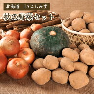 北海道 JAこしみず秋の野菜セット JAこしみず 10月中旬発送開始