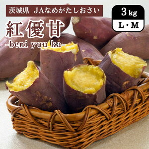 錧 gD 3kg JAȂ߂ 12{Jn