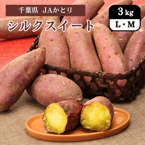 t VNXC[g 3kg JAƂ 11{͂Jn