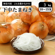 神奈川県 下中たまねぎ 3kg（10～15玉） JA全農かながわ 6月上旬発送開始