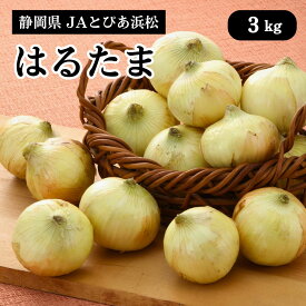 静岡県 新玉ねぎ はるたま 3kg JAとぴあ浜松 2月上旬発送開始