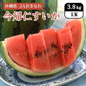 ꌧ Am 3.8kgi1ʁj JAȂ 12{Jn