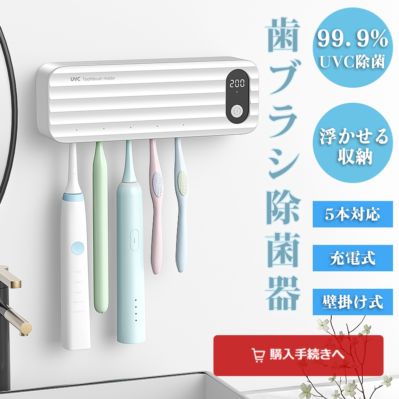 アイテック デンタルH2 電動歯ブラシ   通販