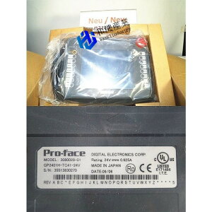 yVizGP2401H-TC41-24V \ y6ۏ؁z