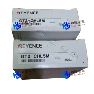 yViz L[GX GT2-CHL5M ZTwbhP[u y6ۏ؁z