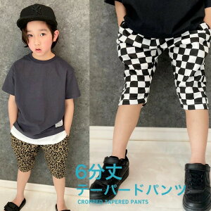 e[p[hpc TGpc n[tpc LbY j̎q ̎q Y{ 6  yCY[ `FbN qE XEFbgpc WjA _X [EFA  110cm 120cm 1