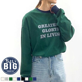 【送料無料】レディース ロンT Tシャツ 長袖 クルーネック 大きめ BIG ビッグシルエット ゆったり プリント ロゴ カジュアル M L XL 「842-00」