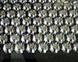 11.1125mm 7/16 炭素鋼球(カーボン球)10個入り日本製