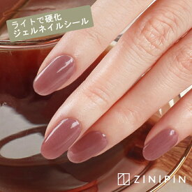 硬化ジェルネイルシール 貼る ネイルシール 硬化 ジェルネイル 半硬化 [ロージー] ブラウン パープル シンプル 上品 ボルドー くすみ ニュアンス ジェルシール ネイルシート ジェル ネイル セルフネイル 単色 ジニピン ZINIPIN 韓国 CA00053 敬老の日