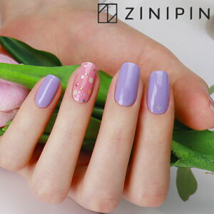 }jLA V[ lCV[ \邾 WFlC lCV[g [RbgLfB] Wjs ZtlC sN p[v i l u[ lCXebJ[   \