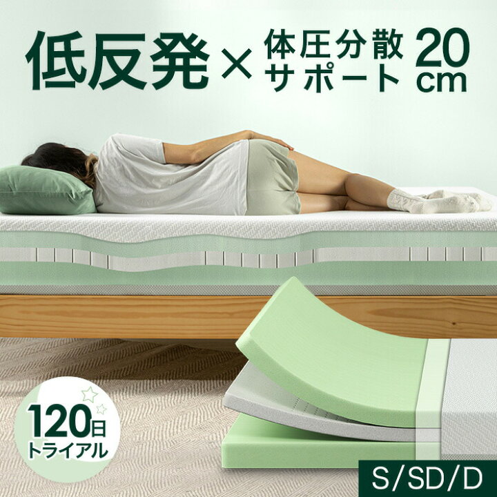 楽天市場】【最大P20倍 + 先着1名50%OFFクーポン + 最大10%OFFクーポン 