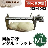 【国産】冷凍アダルトラット MLサイズ ＠140~160g 同梱可 選べる容量 3匹 5匹 10匹 15匹 30匹 50匹 100匹…