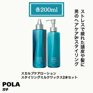 POLA �|�[�� �K�` �j���p �X�J���v�P�A���[�V�����@�X�^�C�����O�~���N���b�N�X�@2�{�Z�b�g