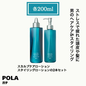 POLA �|�[�� �K�` �j���p �X�J���v�P�A���[�V�����@�X�^�C�����O���[�V�����@2�{�Z�b�g