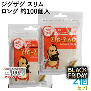 ZIG-ZAG WOUO X OtB^[ 100×2Zbg a6mm×20mm 芪΂ptB^[ WbvobO VO RYO i