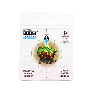 �y���[���֑Ή��z Integra Boost �e���y���G�b�Z���V���� 62�� ������ 4�O����