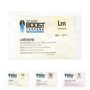 �y���[���֑Ή��z Integra Boost �e���y���G�b�Z���V���� 62�� ������ 67�O����