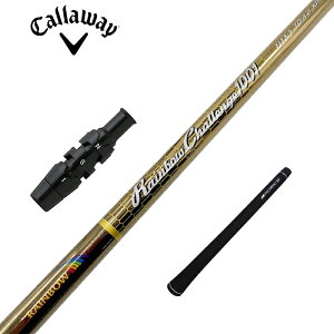 LEFC p_C [O GsbN }[xbN C{[`W1001 Vtg X[ut 撆q