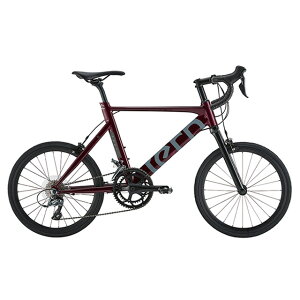 TERN(�^�[��) SURGE(�T�[�W��) 20�C���` �~�j�x���^���a�� GARNET(�K�[�l�b�g) [��������(�ꕔ�n�揜��)]