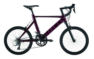 TERN(^[) SURGE(T[W) 20C` ~jx^a GARNET(K[lbg) [(ꕔn揜)]