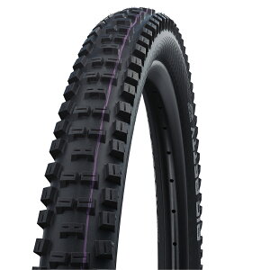  [K㗝Xi] SCHWALBE(Vx) BIG BETTY (rbOxeB) 27.5×2.40 MTB ^C TLE(`[uXC[W[) ubN SW-11654164ykCEEn zsz