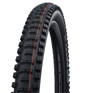  [K㗝Xi] SCHWALBE(Vx) BIG BETTY (rbOxeB) 29×2.60 MTB ^C TLE(`[uXC[W[) ubN SW-11654158ykCEEn zsz