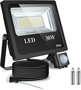BJ lZT[Cg30W LEDtbhCg6500K OZT[ IP66hіho Ɩԏԑ