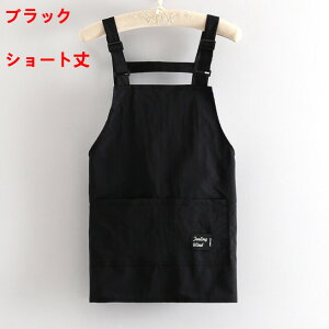 Gv O V[g fB[X Y jZbNX  Vv n \Xgbv |GXe Lb` ۈm K[fjO p  킢 ubN 