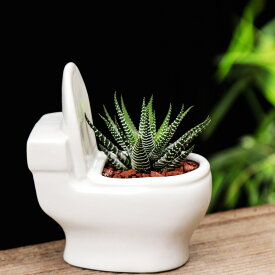 トイレ形のユニークな植木鉢オブジェ 装飾品 アート おしゃれ かわいい ガーデニング 庭 インテリア プレゼント 観葉植物 オーナメントbbq025