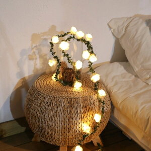 LEDC~l[VCg KNỏԌ^ ̗t 20 3m [Y͗ld C~l[V K[fCg ݂艺