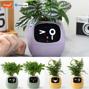 zmart Ivy Tuya �X�}�[�g�v�����^�[ 49��ވȏ� �L���ȕ\�� 7�̃X�}�[�g�Z���T�[ AI�`�b�v �X�}�[�g �A�ؔ� �X�}�[�g�v�����^�[ AI�A�ؔ� �\��t���A�ؔ� ��t���v�����^�[ �ϗt�A���|�b�g Tuya