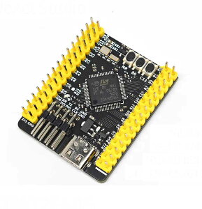 WeAct STM32F405RGT6 STM32F405 STM32F4 STM32�R�A�{�[�h �f���{�[�h Micropython STM32F405 �J���{�[�h STM32F412 STM32F446 �}�C�R���{�[�h WeAct Studio STM32 �{�[�h ARM Cortex-