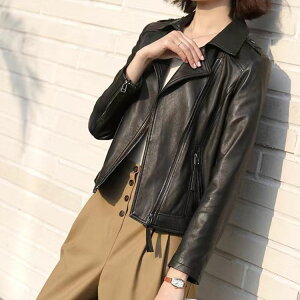 U[WPbg C_[XWPbg fB[X H~ AE^[ V[g uE/ubN L i1b18