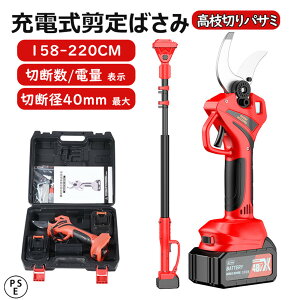 yX[p[SALE50%OFFzyyV1 iۏ؁z}؂oT~ [d }؂͂ ؒfa40mm d΂ ΂ R[hX doT~ uVX[^[ obe[t
