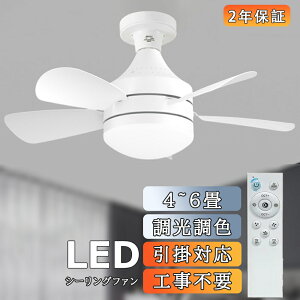 y2Nۏ؁zV[Ot@ F E26 3iKʒ Ɩ t@t V[OCg V[Ot@Cg  Rt Cz LED @ Â dc rO Lb