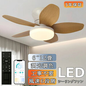 y5Nۏ؁zV[Ot@ V[Ot@Cg 5H ^ y  dc[^[ 6 k Q ʏ F ʒ LEDΉ Rt ^C}[ dC ledCg rO 